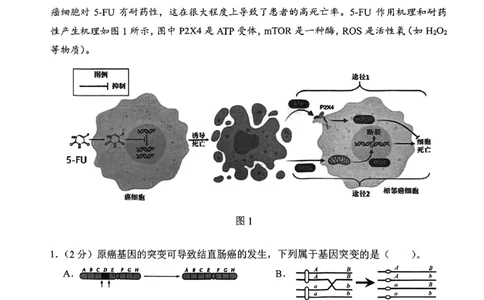 上海市某校2023-2024学年高二上学期摸底考试生物试题_0122026上海中考一模二模真题试卷_2026年上海一模_上海1500初中高中试卷_高中_高二_上学期_1：月考