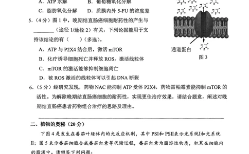 上海市某校2023-2024学年高二上学期摸底考试生物试题_0122026上海中考一模二模真题试卷_2026年上海一模_上海1500初中高中试卷_高中_高二_上学期_1：月考
