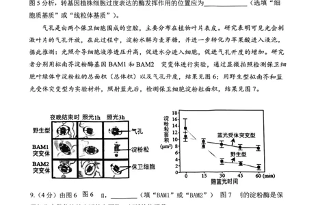 上海市某校2023-2024学年高二上学期摸底考试生物试题_0122026上海中考一模二模真题试卷_2026年上海一模_上海1500初中高中试卷_高中_高二_上学期_1：月考