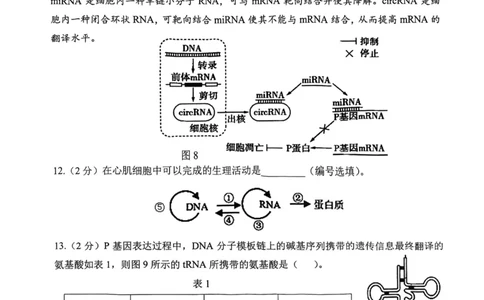 上海市某校2023-2024学年高二上学期摸底考试生物试题_0122026上海中考一模二模真题试卷_2026年上海一模_上海1500初中高中试卷_高中_高二_上学期_1：月考