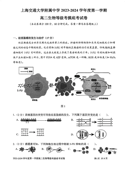 上海市某校2023-2024学年高二上学期摸底考试生物试题_0122026上海中考一模二模真题试卷_2026年上海一模_上海1500初中高中试卷_高中_高二_上学期_1：月考