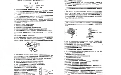 上海市华东师范大学第二附属中学2022-2023学年高二下学期5月阶段测试生物试卷_0122026上海中考一模二模真题试卷_2026年上海一模_上海1500初中高中试卷_高中_高二_下学期_1：月考