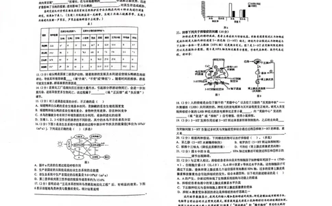 上海市华东师范大学第二附属中学2022-2023学年高二下学期5月阶段测试生物试卷_0122026上海中考一模二模真题试卷_2026年上海一模_上海1500初中高中试卷_高中_高二_下学期_1：月考