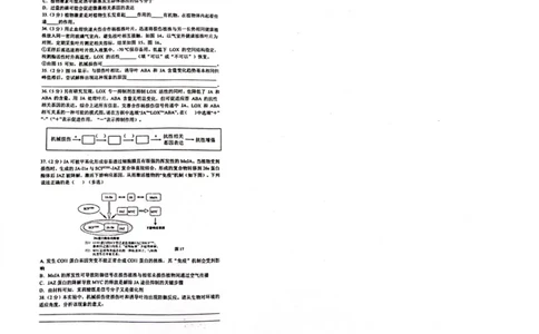 上海市华东师范大学第二附属中学2022-2023学年高二下学期5月阶段测试生物试卷_0122026上海中考一模二模真题试卷_2026年上海一模_上海1500初中高中试卷_高中_高二_下学期_1：月考