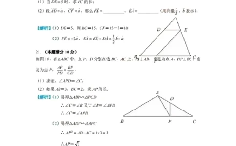 上海市普陀区2020届九年级上学期期末(一模）质量调研数学试卷参考解析_0122026上海中考一模二模真题试卷_2025-2012年_2.上海中考数学一模二模（12-24）_一模_其他