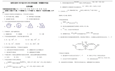 哈师大附中2025级2025-2026学年度第一学期期中考试化学试题_2025年12月高一试卷_251208黑龙江省哈尔滨市师范大学附属中学2025-2026学年高一上学期期中考试（全）