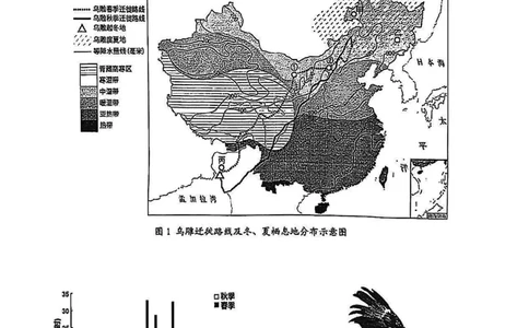 2025浦东新区初三一模跨学科试卷_0122026上海中考一模二模真题试卷_2025-2012年_6.2025年上海一模_分科目整理（试卷及答案）英语听力音频在这里_跨学科