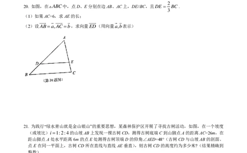 2022届浦东新区中考数学一模1_0122026上海中考一模二模真题试卷_2025-2012年_2.上海中考数学一模二模（12-24）_一模_2022年上海市中考数学一模试卷(16份）_浦东----Word原卷版+解析版