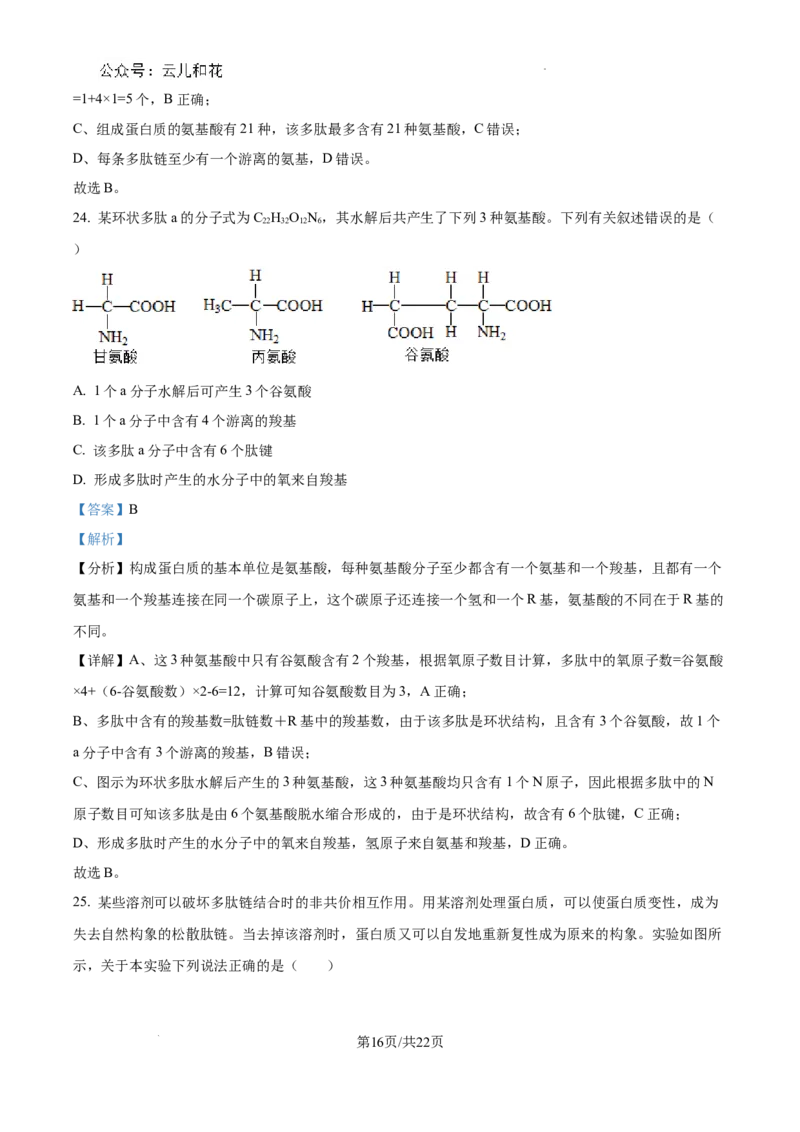 四川省成都市树德中学2024-2025学年高一上学期10月月考生物试题（解析版）_2024年11月试卷_1102四川省成都市树德中学2024-2025学年高一上学期10月阶段性测试
