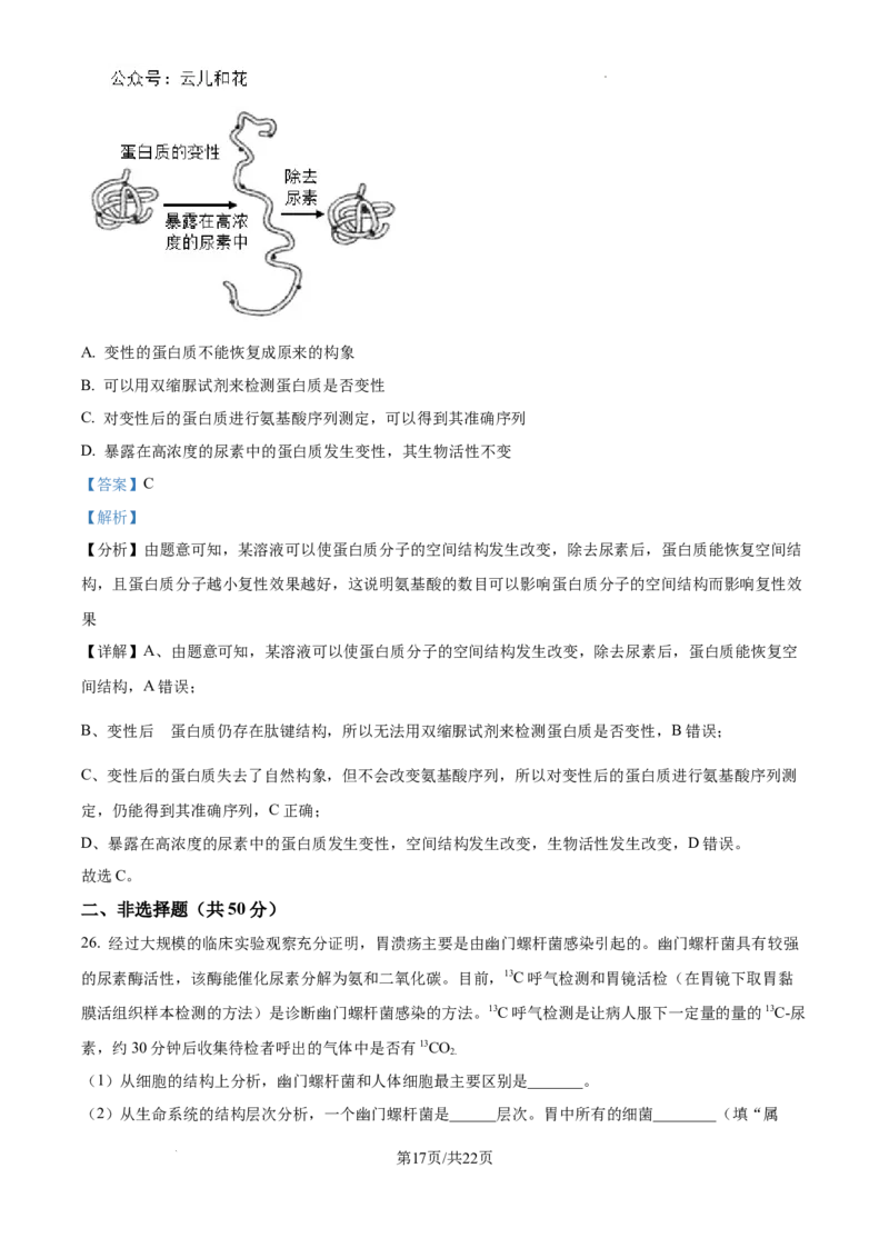 四川省成都市树德中学2024-2025学年高一上学期10月月考生物试题（解析版）_2024年11月试卷_1102四川省成都市树德中学2024-2025学年高一上学期10月阶段性测试