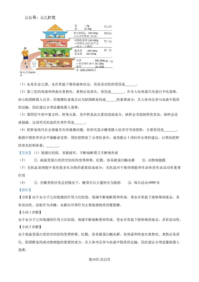 四川省成都市树德中学2024-2025学年高一上学期10月月考生物试题（解析版）_2024年11月试卷_1102四川省成都市树德中学2024-2025学年高一上学期10月阶段性测试