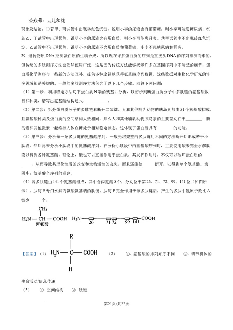 四川省成都市树德中学2024-2025学年高一上学期10月月考生物试题（解析版）_2024年11月试卷_1102四川省成都市树德中学2024-2025学年高一上学期10月阶段性测试