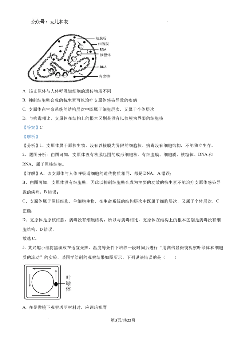四川省成都市树德中学2024-2025学年高一上学期10月月考生物试题（解析版）_2024年11月试卷_1102四川省成都市树德中学2024-2025学年高一上学期10月阶段性测试