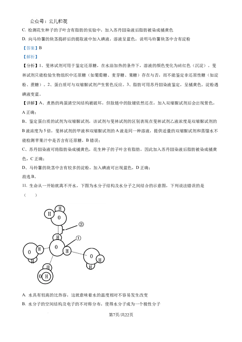 四川省成都市树德中学2024-2025学年高一上学期10月月考生物试题（解析版）_2024年11月试卷_1102四川省成都市树德中学2024-2025学年高一上学期10月阶段性测试