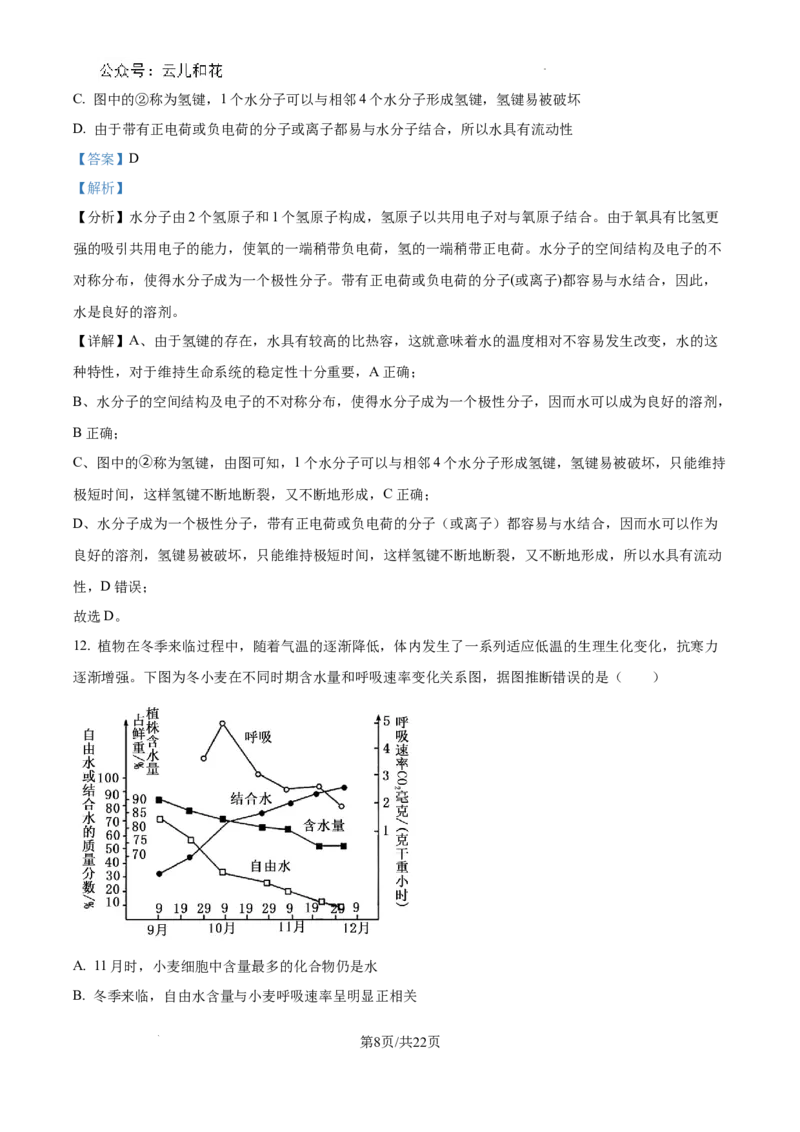 四川省成都市树德中学2024-2025学年高一上学期10月月考生物试题（解析版）_2024年11月试卷_1102四川省成都市树德中学2024-2025学年高一上学期10月阶段性测试