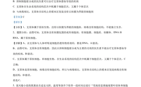 四川省成都市树德中学2024-2025学年高一上学期10月月考生物试题（解析版）_2024年11月试卷_1102四川省成都市树德中学2024-2025学年高一上学期10月阶段性测试