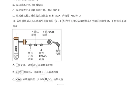 四川省内江市第一中学2024-2025学年高一下学期3月月考化学试题（原卷版）_2025年04月试卷_0428四川省内江市第一中学2024-2025学年高一下学期3月月考