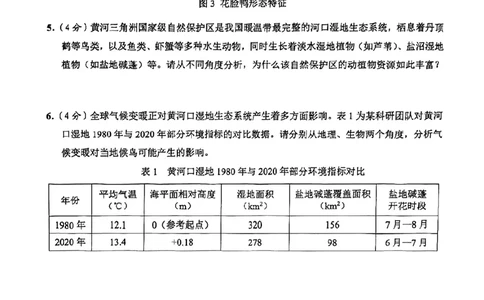 2026届崇明区初三二模综合试卷（跨学科部分）_0122026上海中考一模二模真题试卷_2026上海二模更新中1_崇明