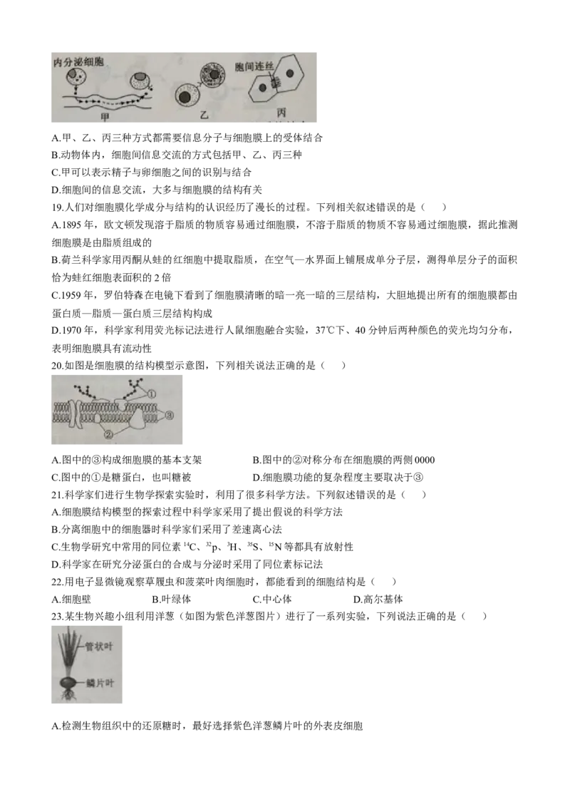 四川省成都市蓉城联盟2025-2026学年高一上学期期中考试生物试题含答案_2025年11月高一试卷_251119四川省成都市蓉城联盟2025-2026学年高一上学期期中（全）