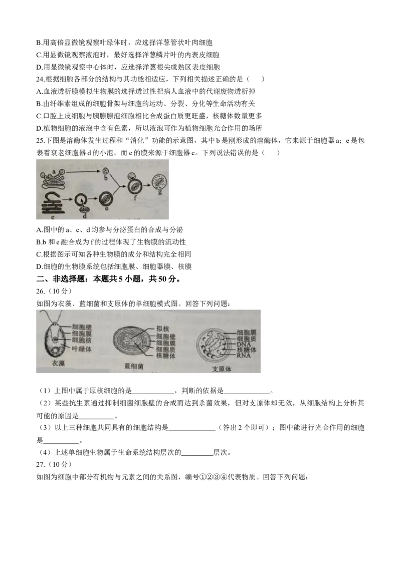 四川省成都市蓉城联盟2025-2026学年高一上学期期中考试生物试题含答案_2025年11月高一试卷_251119四川省成都市蓉城联盟2025-2026学年高一上学期期中（全）
