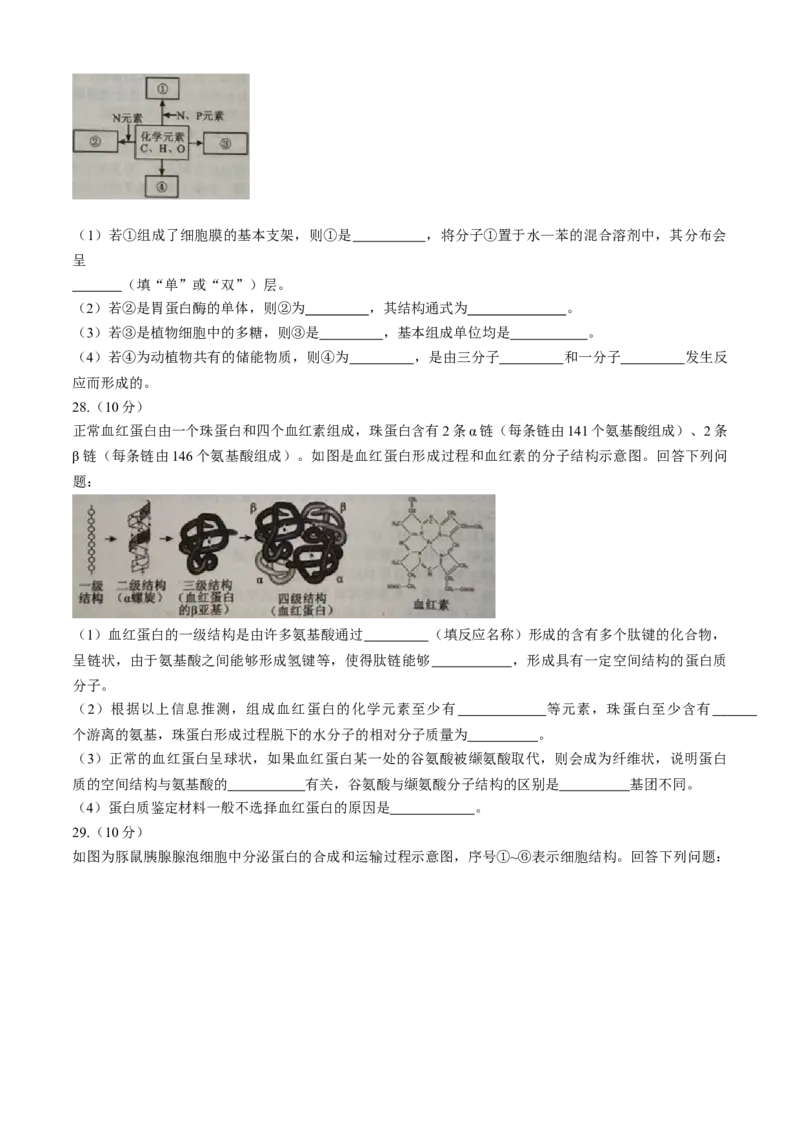 四川省成都市蓉城联盟2025-2026学年高一上学期期中考试生物试题含答案_2025年11月高一试卷_251119四川省成都市蓉城联盟2025-2026学年高一上学期期中（全）