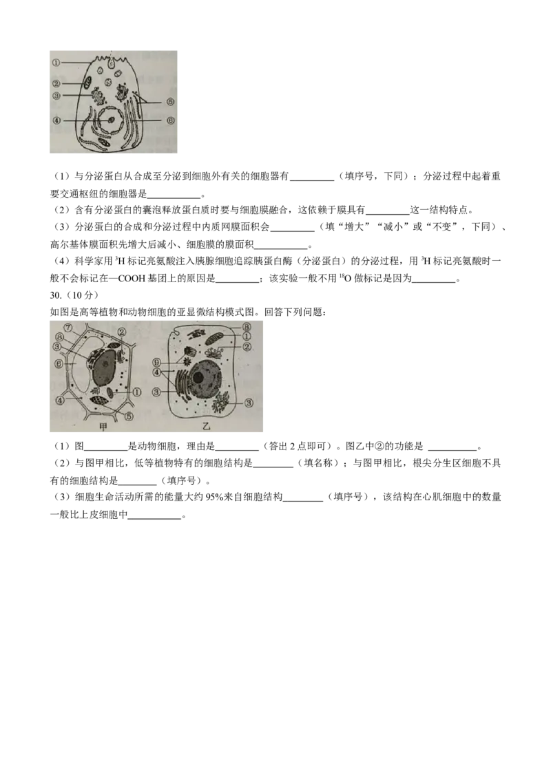 四川省成都市蓉城联盟2025-2026学年高一上学期期中考试生物试题含答案_2025年11月高一试卷_251119四川省成都市蓉城联盟2025-2026学年高一上学期期中（全）