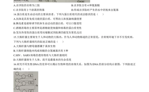 四川省成都市蓉城联盟2025-2026学年高一上学期期中考试生物试题含答案_2025年11月高一试卷_251119四川省成都市蓉城联盟2025-2026学年高一上学期期中（全）