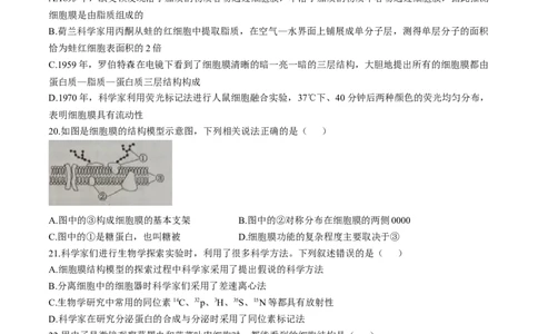 四川省成都市蓉城联盟2025-2026学年高一上学期期中考试生物试题含答案_2025年11月高一试卷_251119四川省成都市蓉城联盟2025-2026学年高一上学期期中（全）