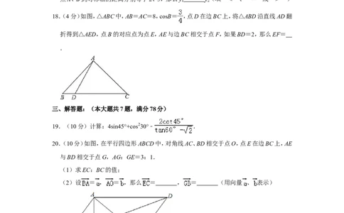 2019年上海市普陀区中考数学一模试卷（含解析版）_0122026上海中考一模二模真题试卷_2025-2012年_2.上海中考数学一模二模（12-24）_一模_2019年上海市中考数学一模试卷（16份）