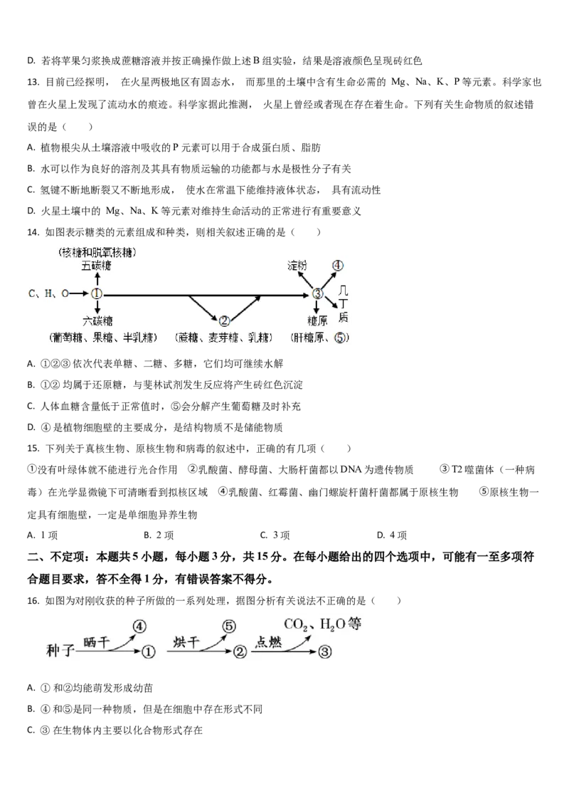 吉林省通化市梅河口市第五中学2025-2026学年高一上学期11月期中生物试题（含答案）_2025年11月高一试卷_251119吉林省梅河口市第五中学2025-2026学年高一上学期11月期中考试（全）