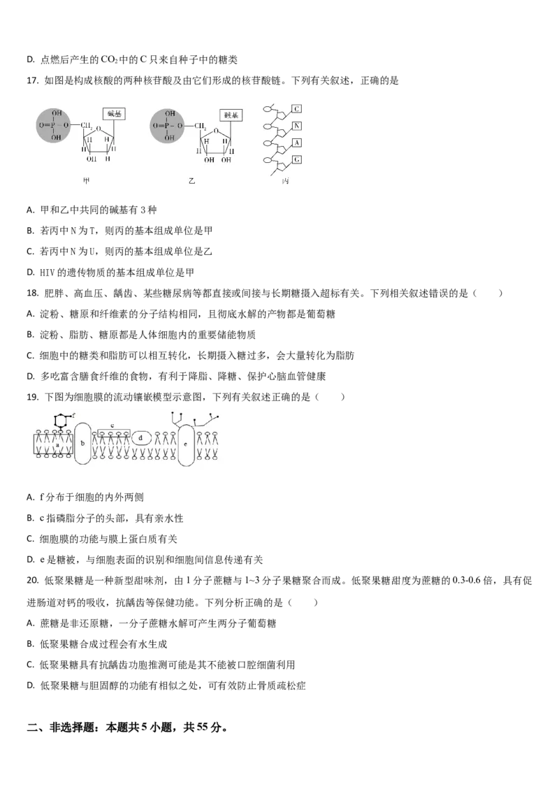 吉林省通化市梅河口市第五中学2025-2026学年高一上学期11月期中生物试题（含答案）_2025年11月高一试卷_251119吉林省梅河口市第五中学2025-2026学年高一上学期11月期中考试（全）