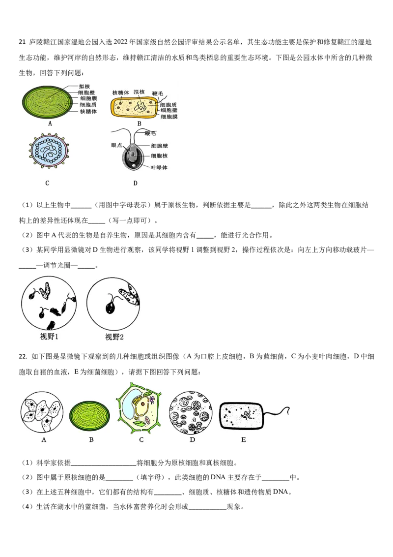 吉林省通化市梅河口市第五中学2025-2026学年高一上学期11月期中生物试题（含答案）_2025年11月高一试卷_251119吉林省梅河口市第五中学2025-2026学年高一上学期11月期中考试（全）