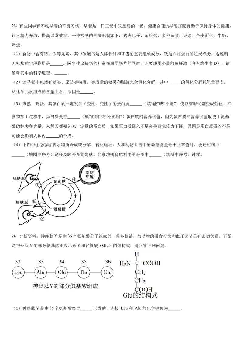 吉林省通化市梅河口市第五中学2025-2026学年高一上学期11月期中生物试题（含答案）_2025年11月高一试卷_251119吉林省梅河口市第五中学2025-2026学年高一上学期11月期中考试（全）