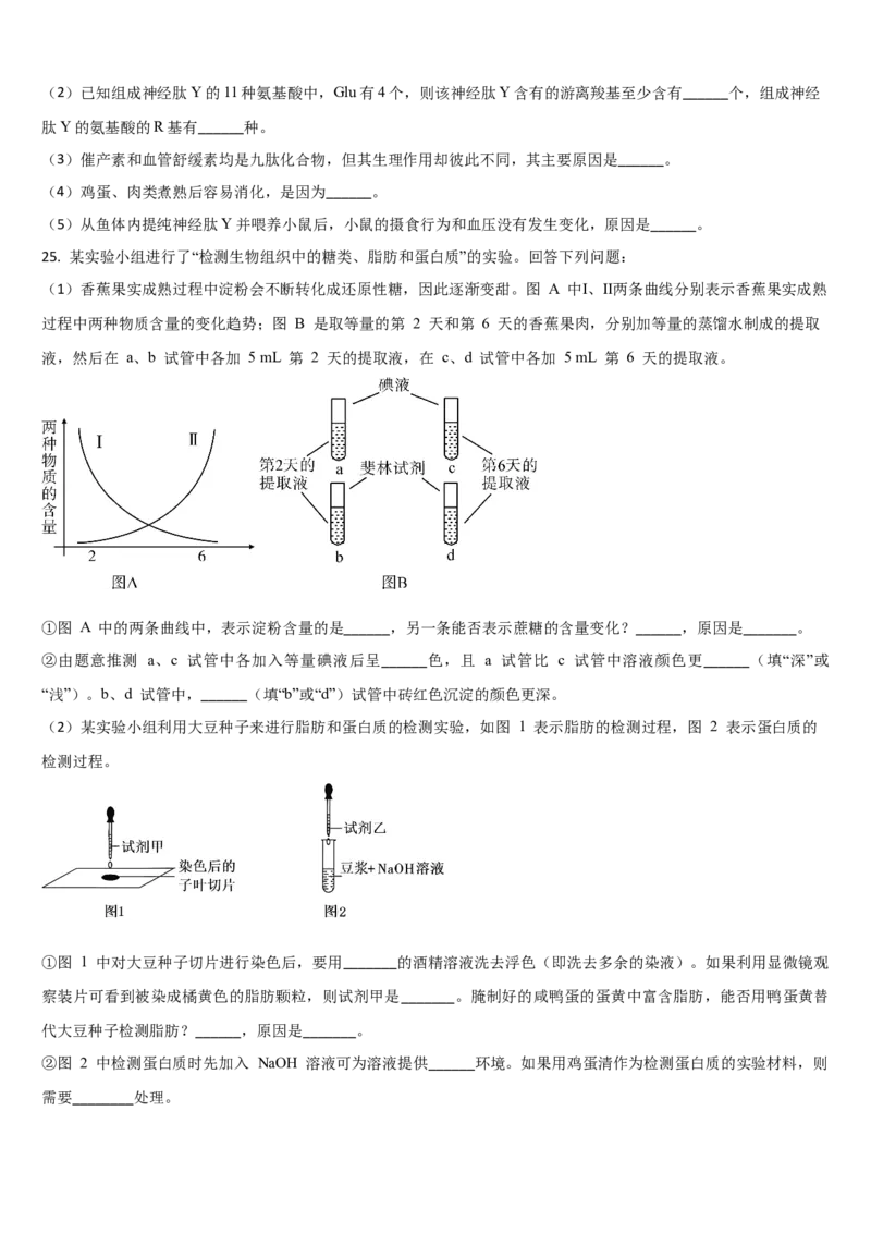 吉林省通化市梅河口市第五中学2025-2026学年高一上学期11月期中生物试题（含答案）_2025年11月高一试卷_251119吉林省梅河口市第五中学2025-2026学年高一上学期11月期中考试（全）