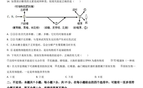 吉林省通化市梅河口市第五中学2025-2026学年高一上学期11月期中生物试题（含答案）_2025年11月高一试卷_251119吉林省梅河口市第五中学2025-2026学年高一上学期11月期中考试（全）