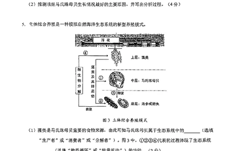 2026届浦东新区初三二模综合试卷（跨学科部分）_0122026上海中考一模二模真题试卷_2026上海二模更新中1_浦东新区