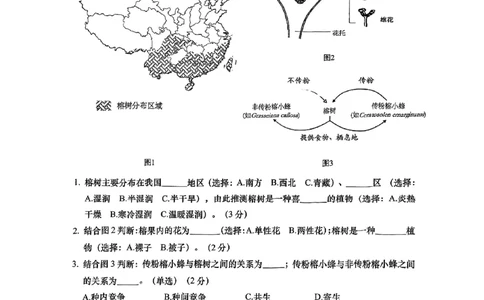 2026届奉贤区初三二模综合试卷（跨学科部分）_0122026上海中考一模二模真题试卷_2026上海二模更新中1_奉贤