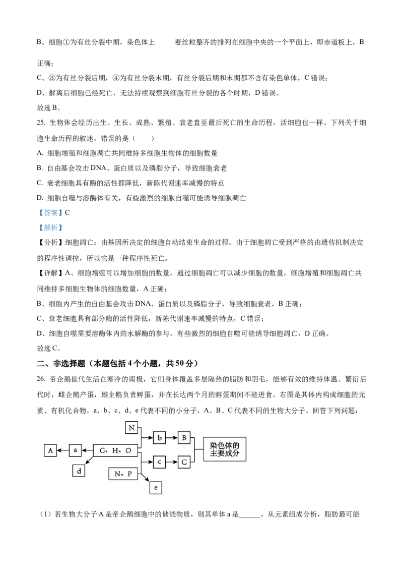四川省绵阳市高中2024-2025学年高一上学期期末教学质量测试生物学试题Word版含解析_2025年03月试卷_0312四川省绵阳市2024-2025学年高一上学期1月期末考试