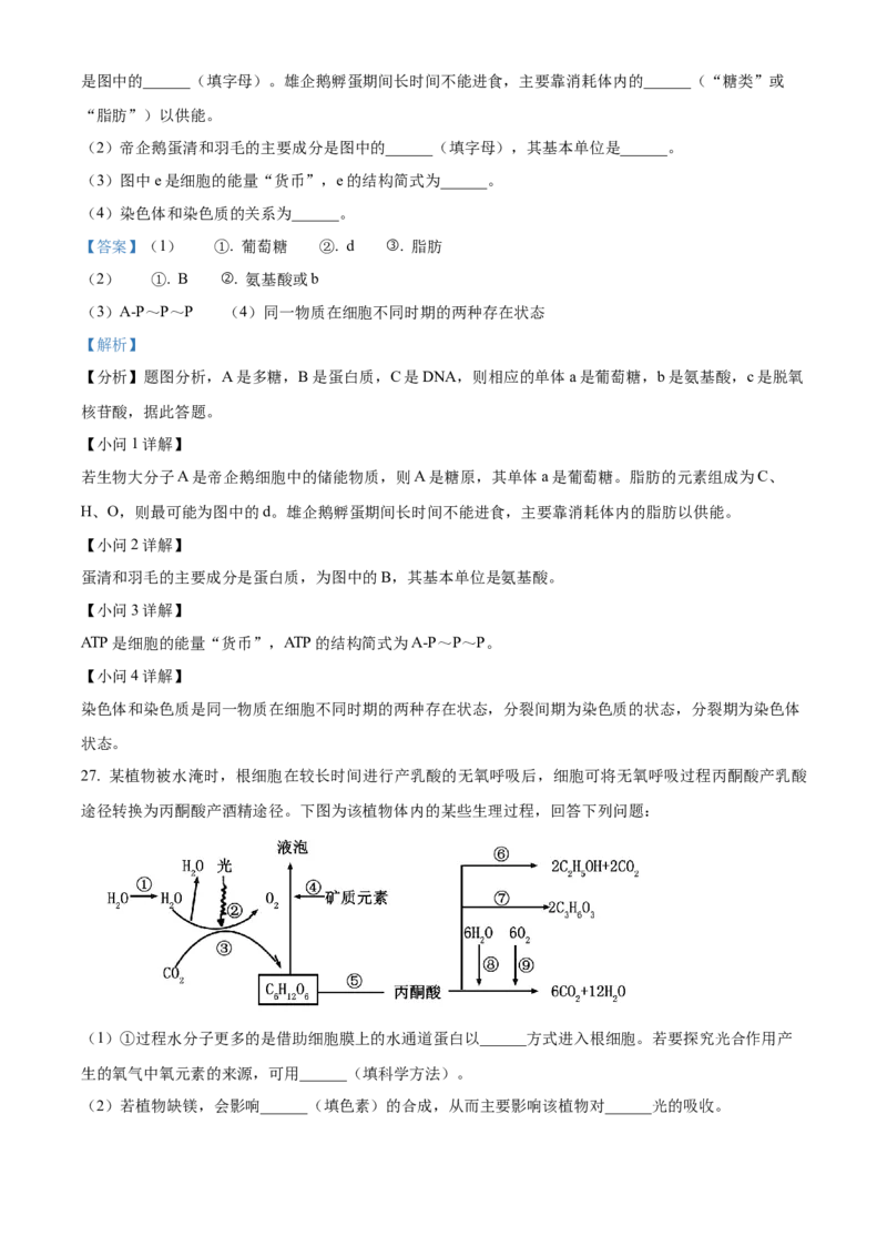 四川省绵阳市高中2024-2025学年高一上学期期末教学质量测试生物学试题Word版含解析_2025年03月试卷_0312四川省绵阳市2024-2025学年高一上学期1月期末考试