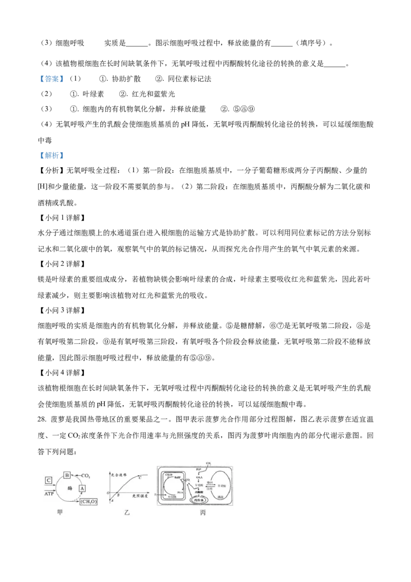 四川省绵阳市高中2024-2025学年高一上学期期末教学质量测试生物学试题Word版含解析_2025年03月试卷_0312四川省绵阳市2024-2025学年高一上学期1月期末考试