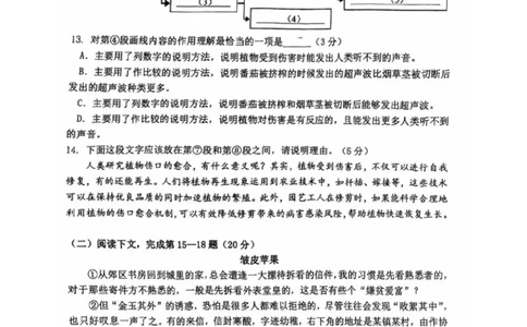 2025届奉贤区初三一模语文试卷_0122026上海中考一模二模真题试卷_2025-2012年_6.2025年上海一模_分科目整理（试卷及答案）英语听力音频在这里_语文
