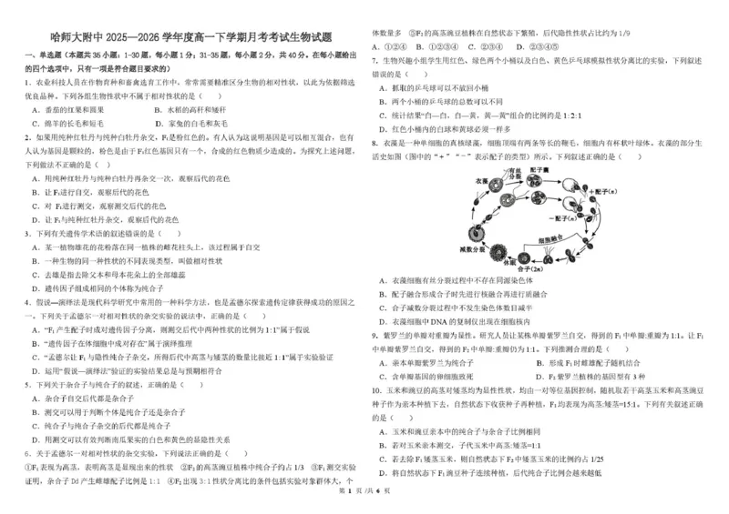 哈尔滨市哈师大附中2025&mdash;2026学年度高一下学期4月月考生物_2026年04月高一试卷_260413黑龙江哈尔滨市哈师大附中2025&mdash;2026学年度高一下学期4月月考（全科）