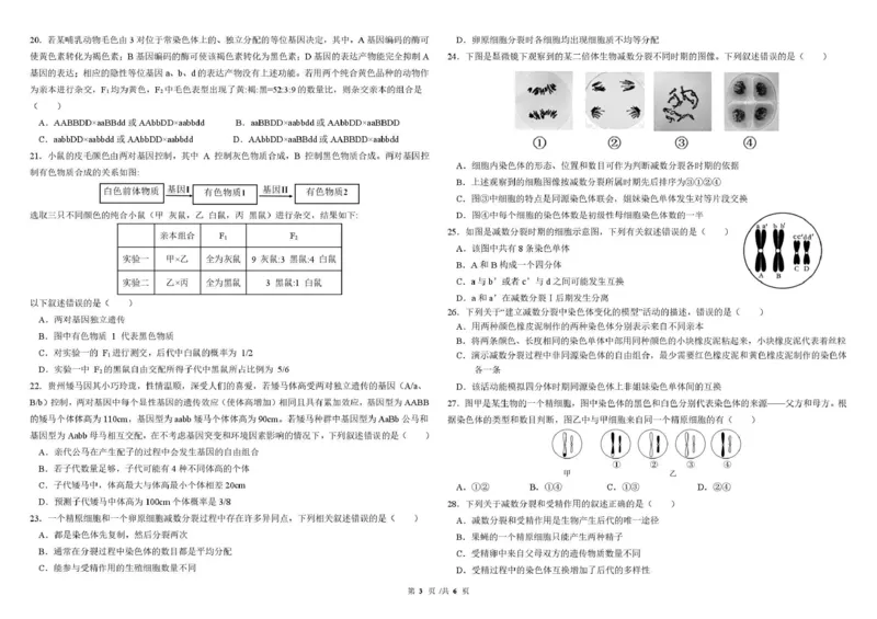 哈尔滨市哈师大附中2025&mdash;2026学年度高一下学期4月月考生物_2026年04月高一试卷_260413黑龙江哈尔滨市哈师大附中2025&mdash;2026学年度高一下学期4月月考（全科）