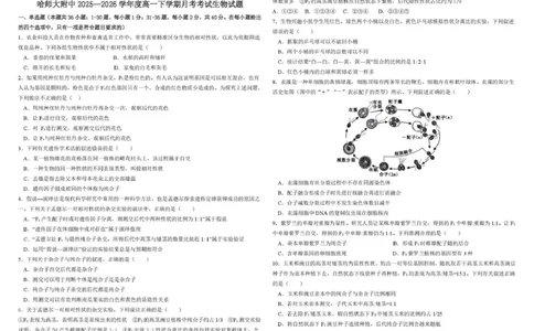 哈尔滨市哈师大附中2025&mdash;2026学年度高一下学期4月月考生物_2026年04月高一试卷_260413黑龙江哈尔滨市哈师大附中2025&mdash;2026学年度高一下学期4月月考（全科）