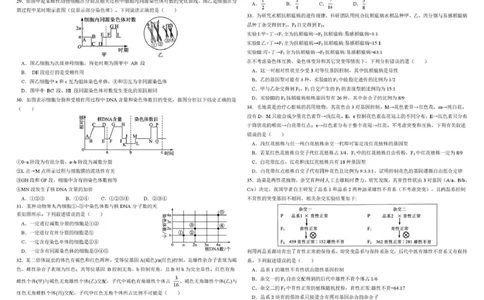 哈尔滨市哈师大附中2025&mdash;2026学年度高一下学期4月月考生物_2026年04月高一试卷_260413黑龙江哈尔滨市哈师大附中2025&mdash;2026学年度高一下学期4月月考（全科）