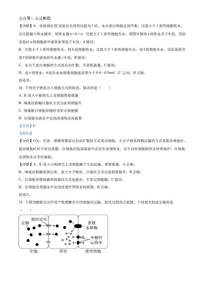 四川省绵阳市2024-2025学年高一上学期11月期中考试生物试题Word版含解析_2024年12月试卷_1202四川省绵阳市2024-2025学年高一上学期11月期中考试