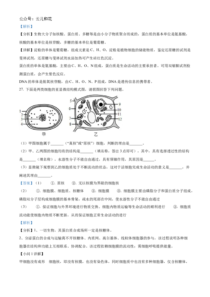 四川省绵阳市2024-2025学年高一上学期11月期中考试生物试题Word版含解析_2024年12月试卷_1202四川省绵阳市2024-2025学年高一上学期11月期中考试