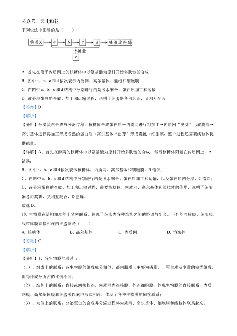 四川省绵阳市2024-2025学年高一上学期11月期中考试生物试题Word版含解析_2024年12月试卷_1202四川省绵阳市2024-2025学年高一上学期11月期中考试