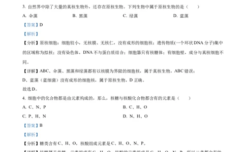 四川省绵阳市2024-2025学年高一上学期11月期中考试生物试题Word版含解析_2024年12月试卷_1202四川省绵阳市2024-2025学年高一上学期11月期中考试