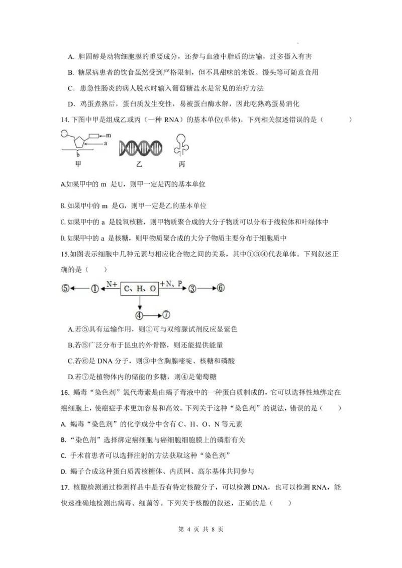 四川省德阳市第五中学2025-2026学年高一上学期10月月考生物试题(图片版含答案)_2025年11月高一试卷_251111四川省德阳市第五中学2025-2026学年高一上学期10月月考